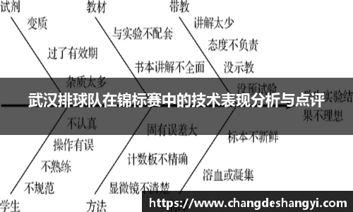 武汉排球队在锦标赛中的技术表现分析与点评