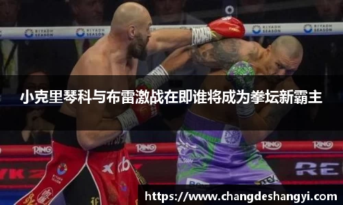小克里琴科与布雷激战在即谁将成为拳坛新霸主