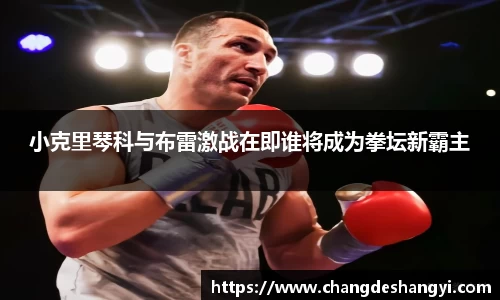 小克里琴科与布雷激战在即谁将成为拳坛新霸主